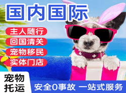 布拉克机场空运国际宠物托运 【国